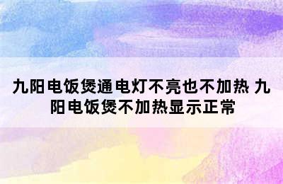 九阳电饭煲通电灯不亮也不加热 九阳电饭煲不加热显示正常